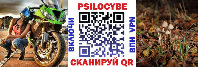 Псилоцибиновые грибы Psilocybe  дарнет шоп  Елизаветинская 