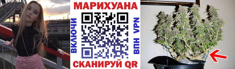 Бошки марихуана Bruce Banner  сайты даркнета формула  Елизаветинская  купить закладку 